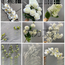 ��ɫ���滨��Y���öY��·���廨ɭϵ��c��̨�b�����Ż�����