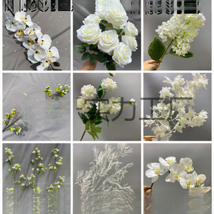 ��ɫ���滨��Y���öY��·���廨ɭϵ��c��̨�b�����Ż�����