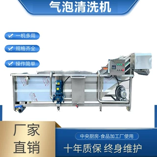 厂家供应气泡清洗机多规格根菜类清洗机蔬果