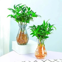 ˮˮBֲԾGֲk҃ȻBļ