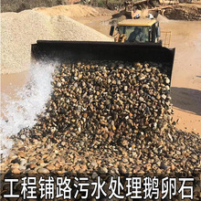 杂色鹅卵石滤料工程铺路水池垫底大小石头园林景观污水处理河滩石