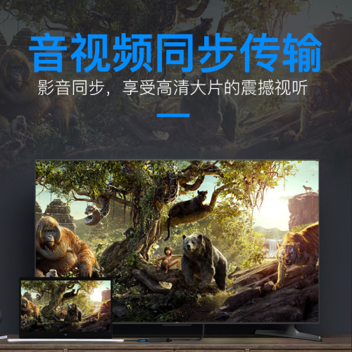 Manufacturer Direct Sales VicTsing HBG Series DP to HDMI Converter Black 0.15m