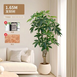 �lؔ�����Gֲ��ؔ�߶��p���҃ȿ͏d���ʽ���ͷ����b[������