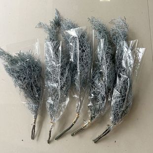 �������ɰ� ��؈A���}�Q��ֲ��Ӽ��b廨DIY����Դ�^���S���l