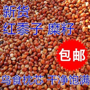 �t�������^������^�̯��|���|���|�������ӎ�����Ƥ����s�Z���l