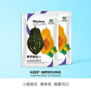 �п�ï�A�߲˷N�������Ϲ������Ϲ�Ʒ�N��ζ����3-4���Ŵ����