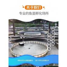 ˮ���~�����l�a�~�~���~���^�����������~���~����~�N���~