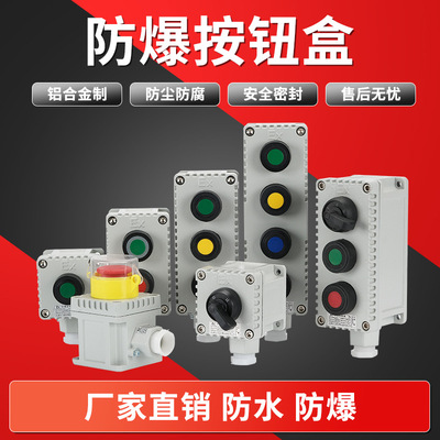 【厂家批发】防爆按钮防爆开关 防爆按钮盒 控制按钮LA53-2-1-3-4|ms