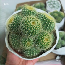 ����ֲ���������ƽ�z����^��ڷ�ݗ��M�ϻ�������