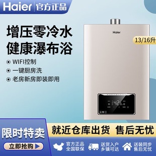 Haier Zero -Cold Water Gas Watereeverter 13/16 литр TR1 подходит для дома природное газ, сильное