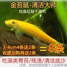 ��̦���~���w��ˮ�Ꭷ�^�p�~�������̦���~���坍�����~����ח�