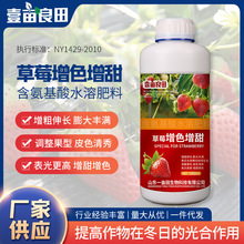 ������� â����������� ������������������L��