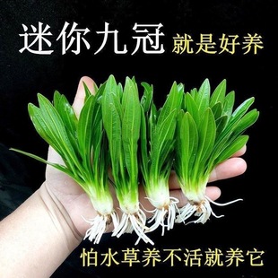 ����ŹھG�Ź�С�Ź���ˮ�ݻ��w�݈����l�~���쾰ɢ�b��Ժ��B