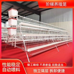 �g���\���uA�ͻ\�Bֳ�\���uH�ͻ\�ӯBʽ�B�u�\ȫ�Ԅӵ��u�\���ӻ\