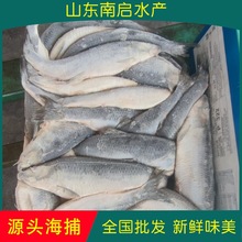 ���~����E�~���~����ƺ��aƷˮ�a����\ݔҰ����ˮҰ�����~