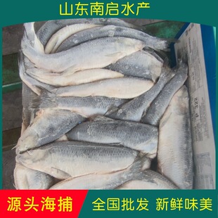 ���r����E�~���l�����ˮ�a���_˹�|�����~�E�~���^ԭ��