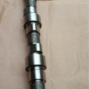 Dongfeng Lei Nuo DCI11 Camshaft