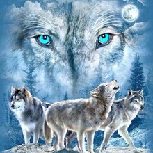 ���uͨ���R�d���Q�ʯ���M��ǃ�ͯ�N荮�