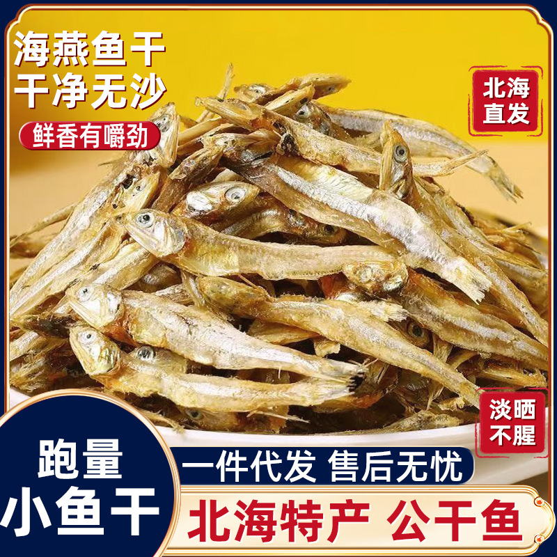北海特产海燕鱼干鱼类零食海鲜干货鱼干批货下酒菜小鱼干工厂直发
