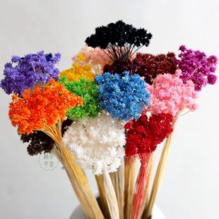 Сɽ���������ɻ��������l����С�ǻ��滨�ֹ�DIY��޹��ָ���ϰ�