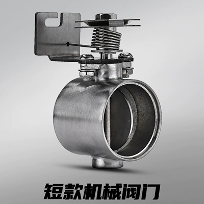 Universal Motorcycle Modified Exhaust Motorcycle exhaust pipe - short-style-exhaust-valve-single-valve-body