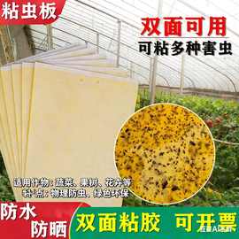 粘虫板双面粘虫板黄蓝板黄板诱虫板黄蓝一体粘虫板厂家外贸亚马逊