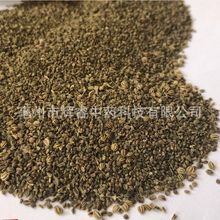 生芹菜籽 大货芹菜籽批发 石见穿