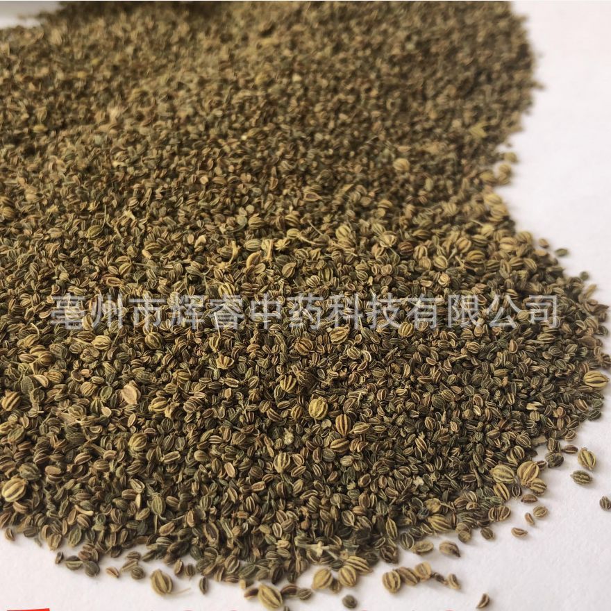 生芹菜籽 大货芹菜籽批发 石见穿