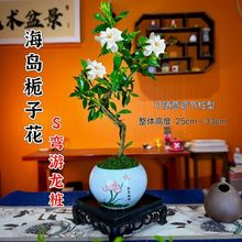 �옶���u�d�ӻ��ļ�����ֲ���҃Ⱥ��B�׻��С���^�_���̨