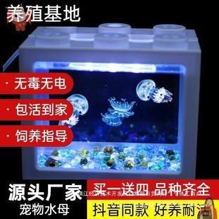 ������״������ˮĸ����ҹ�⌚�����W�tˮĸ��ˮĸ�׌����W����