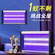 ��׽���ß�������䁜�ω���͏d�҃��nω���������젝�������