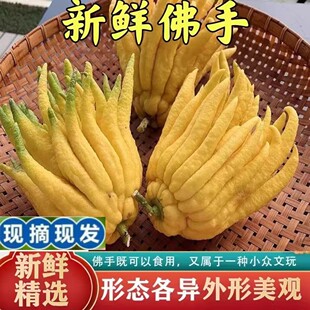 �幩�^�p���ָ����r�Fժ�F�l���ֹ���֦ˮ�Bˮ��ʳ�Ô[�Ź�̨����