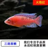 5-7cm