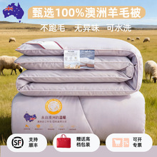 澳洲100%羊毛被子四季通用被芯冬季被褥保暖全羊绒冬被礼品