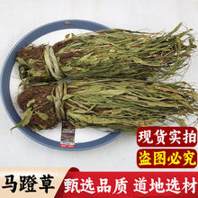 �R�Ų�500g ���r��؛�R�Ų� �^��� ߀ꖲ� Сʯ�f��