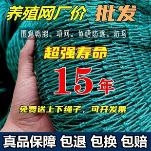 �����B�u�W�Ӵ֔r�u�W���ھW���B�W�����Bֳ�W���@���B�r��픾W