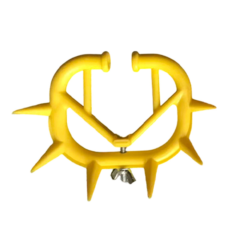 Espina de nariz de toro amarilla