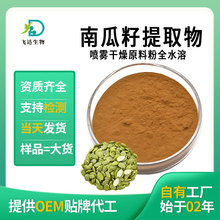 南瓜籽提取物 南瓜子粉全水溶固体饮料原料厂家支持商检批发