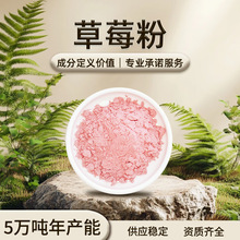 草莓粉 粉红色粉末 易溶于水 草莓果香 干燥避光储存 现货批发