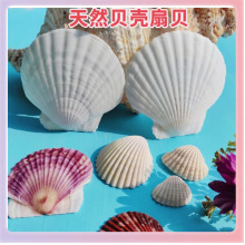 ������ɫ��?ؐ����ؐ����DIY�ֹ������ĉT�f�N�����Ȼ