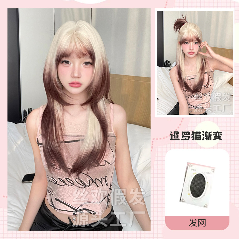 샴 고양이 그라데이션