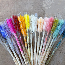 ������β�ݸɻ���β�Ͳ��滨���W�L�羳�҃��b��Ĕz���ߏS�����l