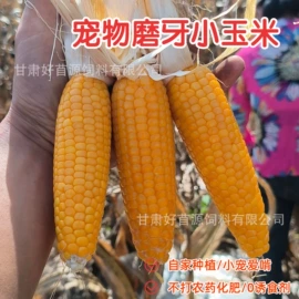 兔子主粮;鸟食;仓鼠零食