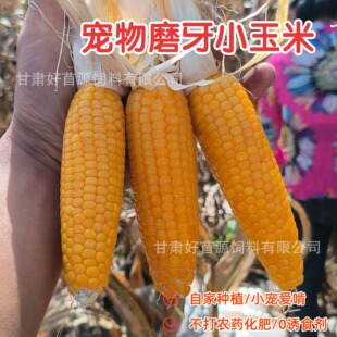 ����ĥ�����ׂ}��С����������؈��z�܌��������ʳĥ��С���װ�