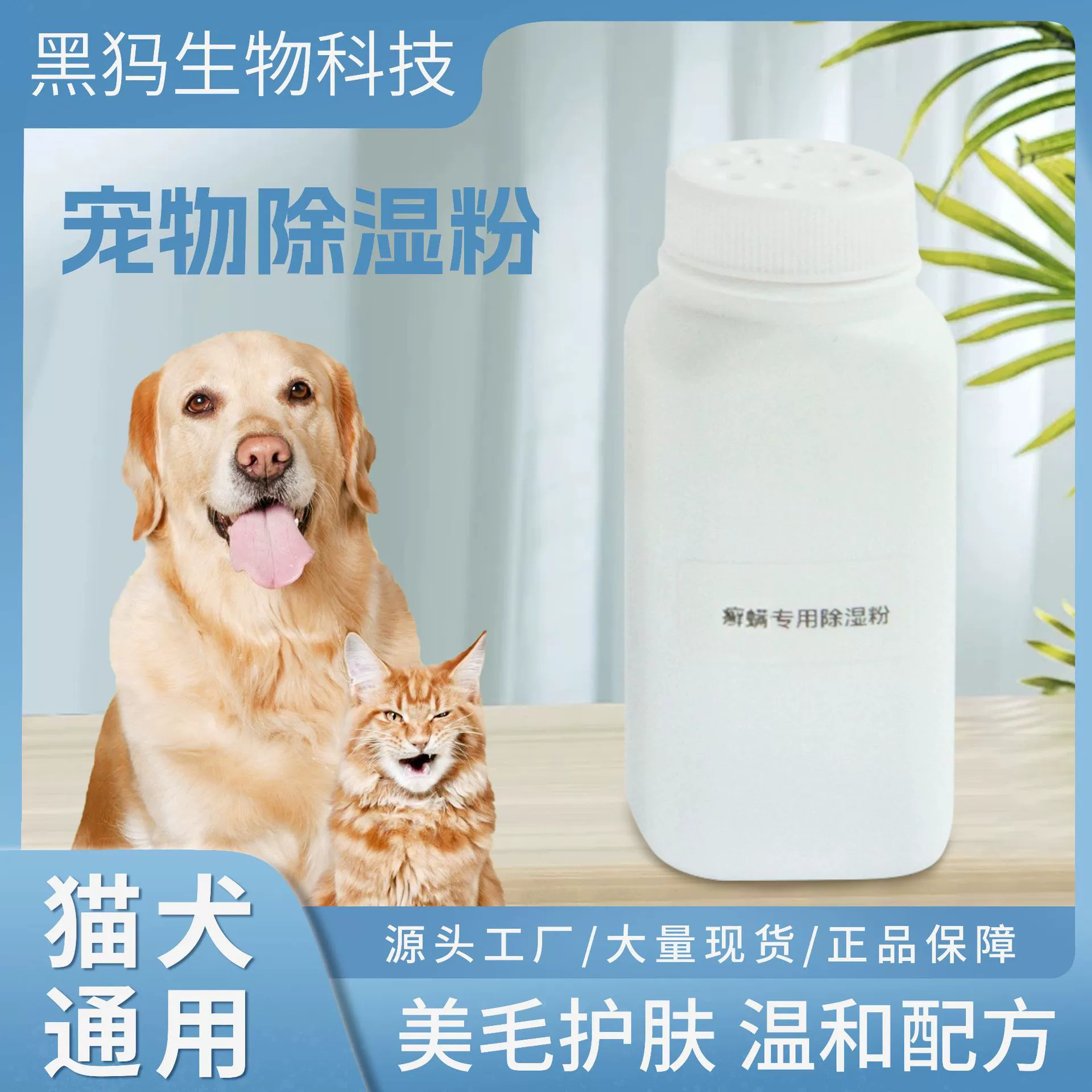 Домашняя собака кот осушает порошок клещей