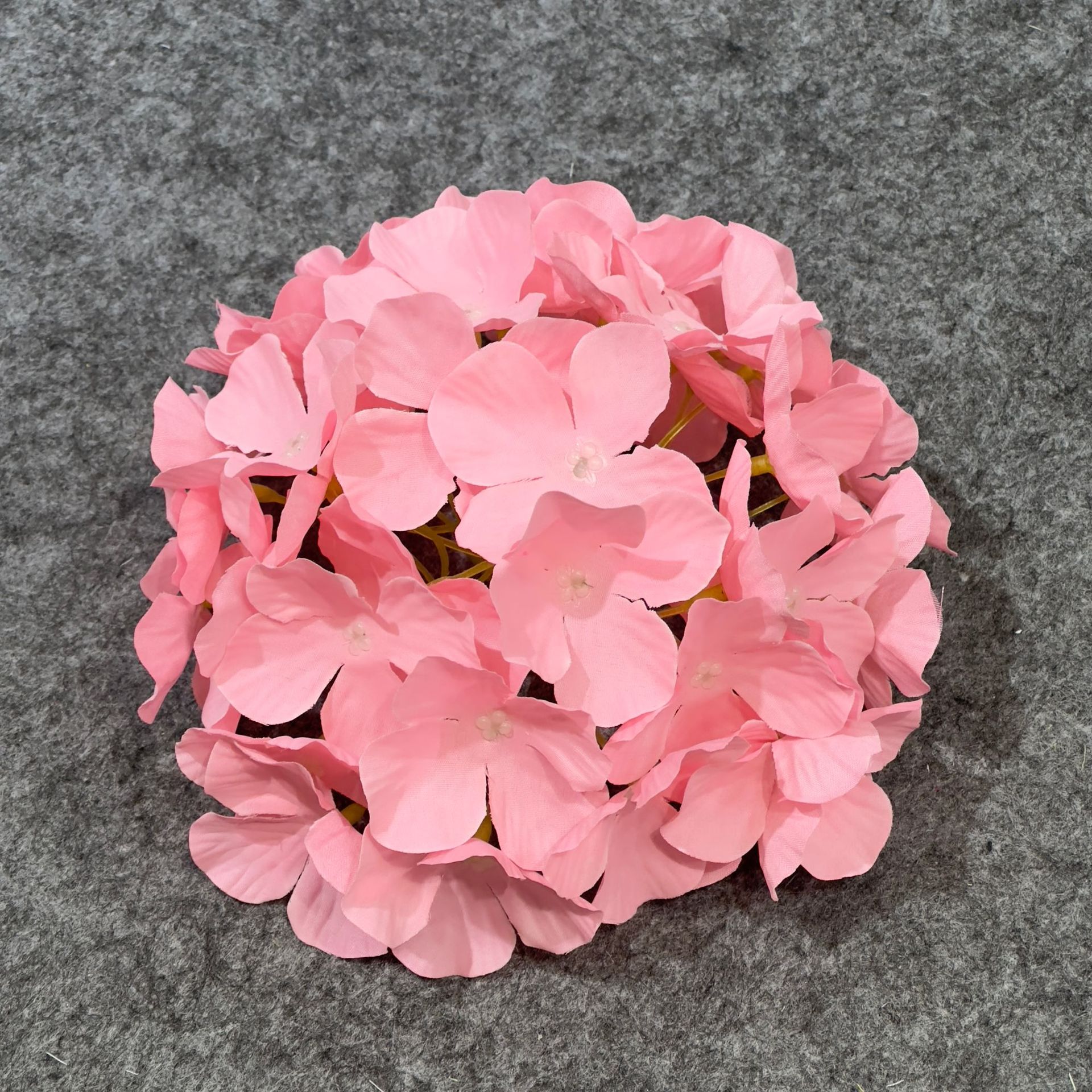 수국 꽃 머리 다크 핑크