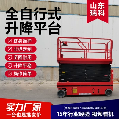Avtomobil fırlanan platformaları | Self-Propelled Lift