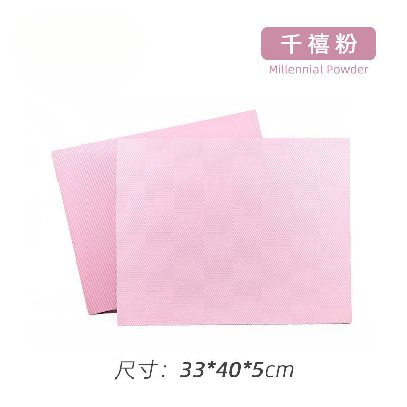 밀레니엄 핑크 40*33*5cm