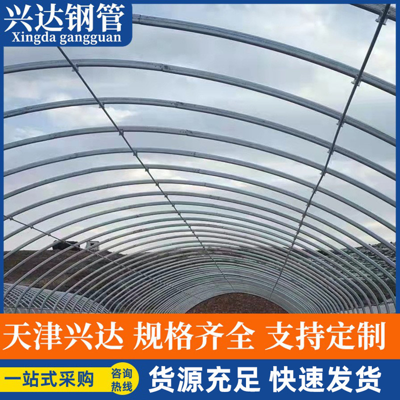 Greenhouse Steel Pipe Frame Vegetable Planting Greenhouse Pig and Chicken Breeding Insulation Agricultural Planting Multi-Span Greenhouse Greenhouse Steel Pipe Frame Vegetable Planting Greenhouse Pig and Chicken Breeding Insulation Agricultural Planting Multi-Span Greenhouse