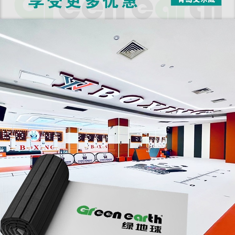 Taekwondo Mat Fighting Fighting Roll Mat Seamless Xpe Jiu-Jitsu Wrestling Fitness Martial Arts Boxing Gym Somersault Floor Mat